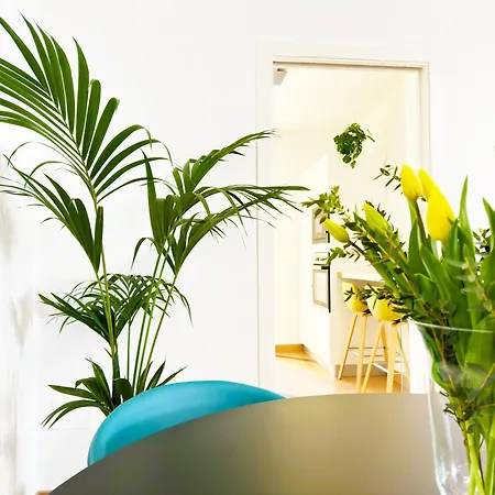 300 M From Old Town - Very Finished, Free Parking Appartement